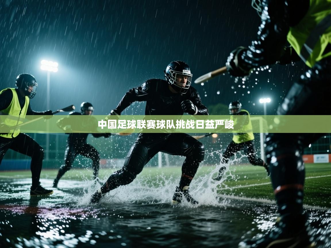 中国足球联赛球队挑战日益严峻 第1张