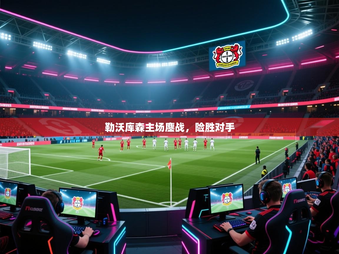 勒沃库森主场鏖战,险胜对手 第1张