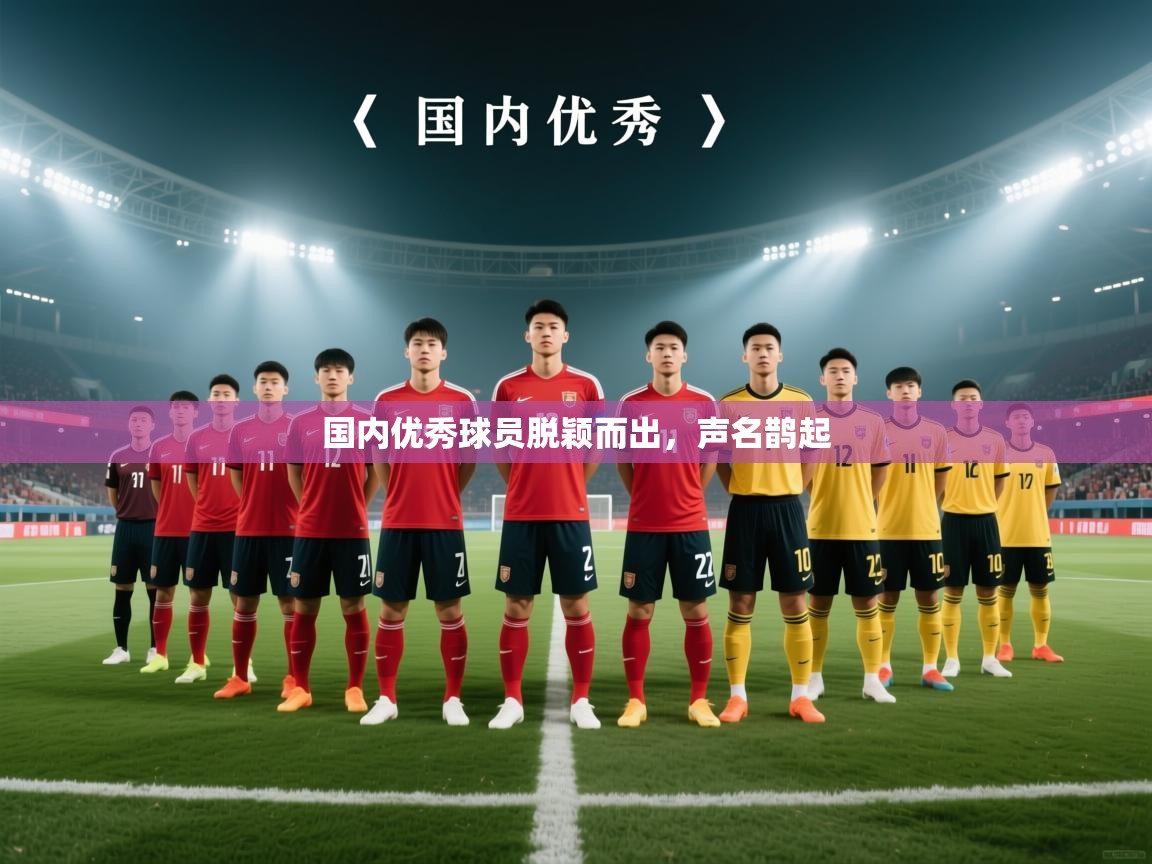 国内优秀球员脱颖而出,声名鹊起 第1张