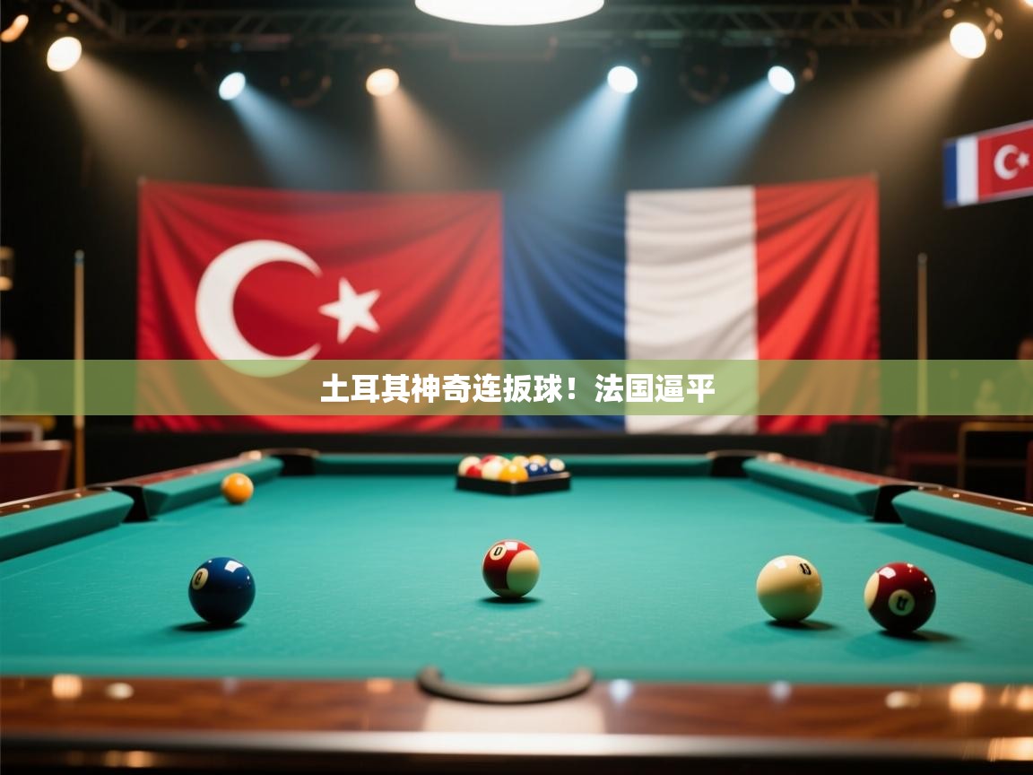 土耳其神奇连扳球!法国逼平 第1张