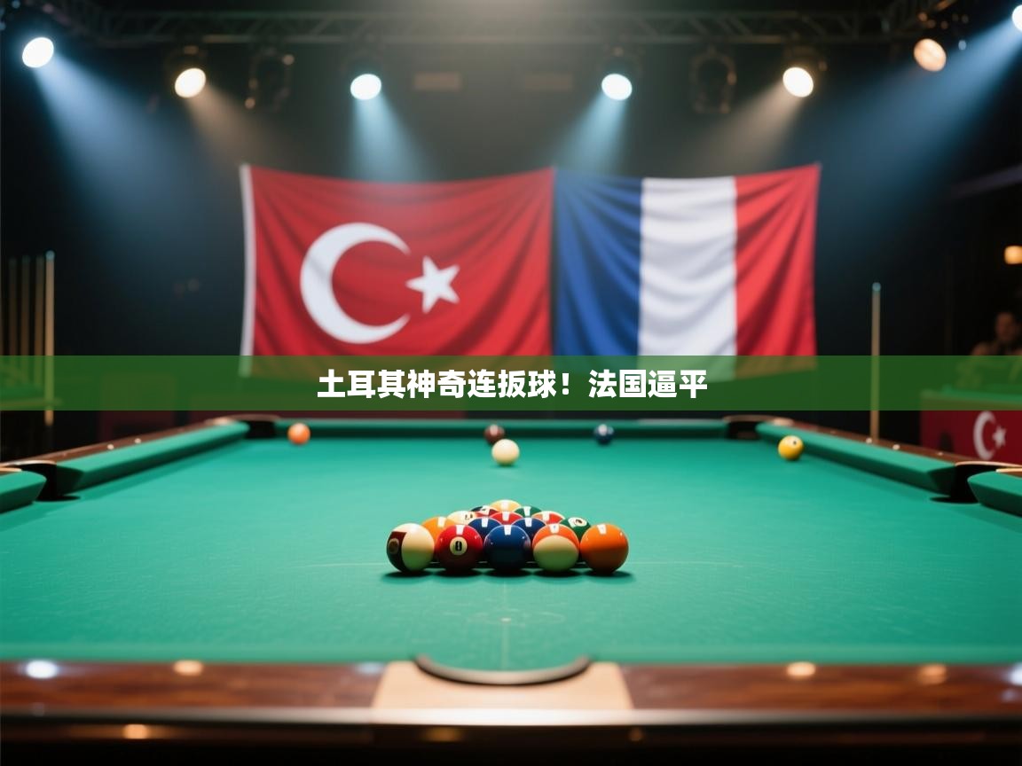 土耳其神奇连扳球!法国逼平 第2张